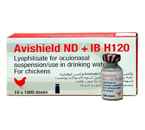 AVISHIELD-ND-+-IB-H120-1000D