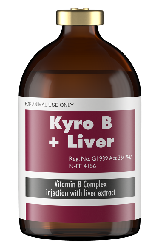 KYRO-B-&-LIVER-100ML