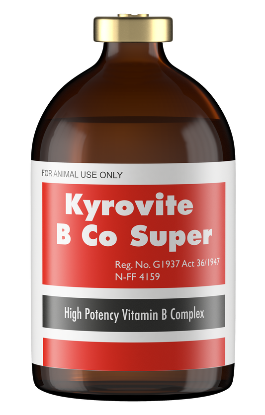 KYROVITE-B-CO-SUPER-100ML