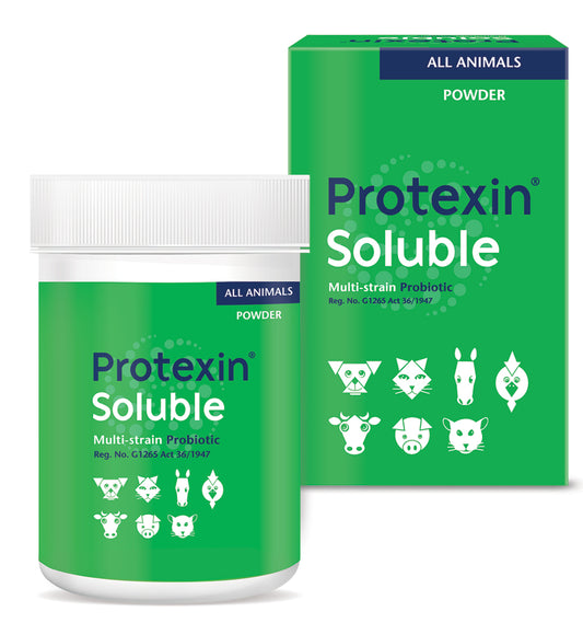 PROTEXIN-SOLUBLE-60GR