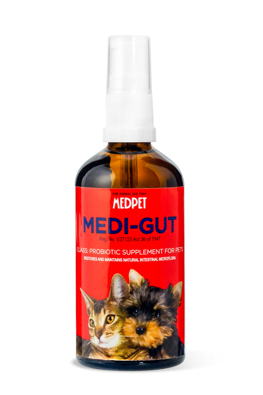 MEDI-GUT-100ML