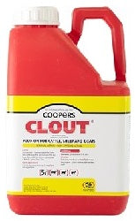 CLOUT-5LT