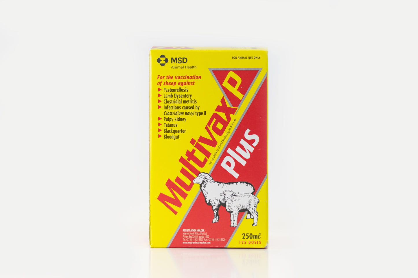 MULTIVAX-P-PLUS-100ML