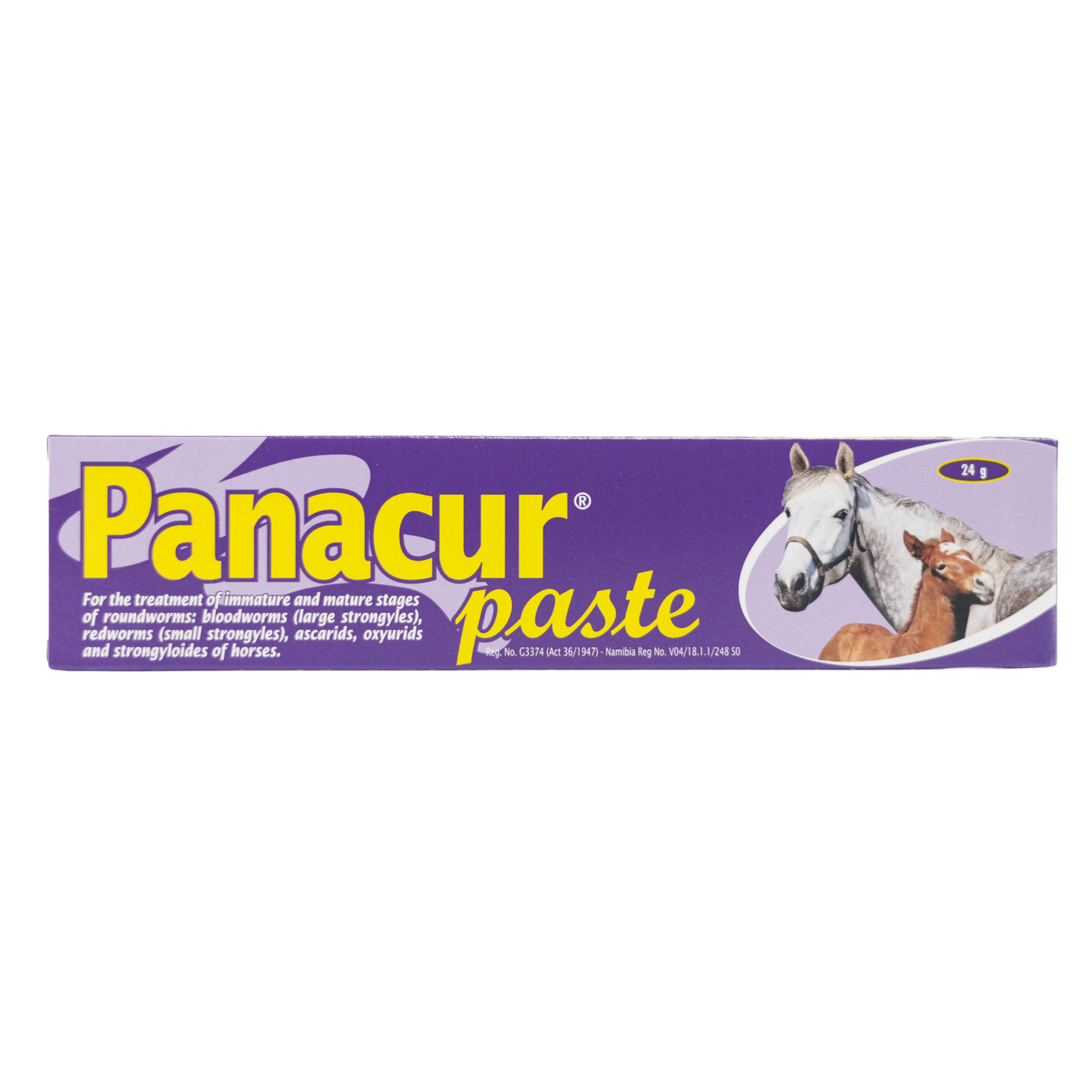 PANACURE-PASTE-HORSE-24G