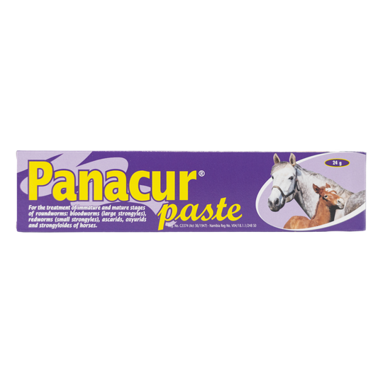 PANACURE-PASTE-HORSE-24G